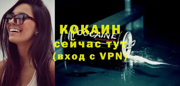 прущие грибы Дмитровск