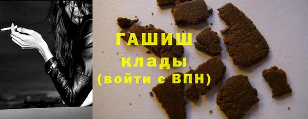 прущие грибы Дмитровск