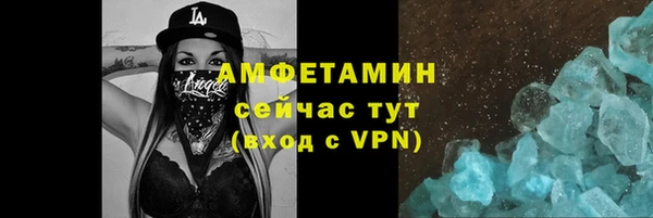 прущие грибы Дмитровск