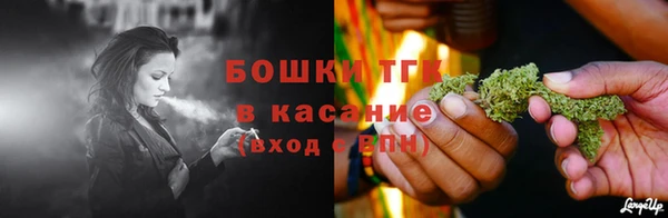 прущие грибы Дмитровск