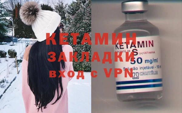 прущие грибы Дмитровск