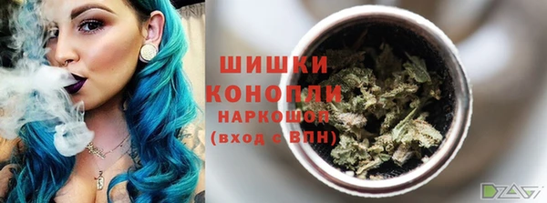 прущие грибы Дмитровск