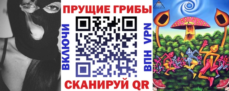 Купить где  Тихорецк  Галлюциногенные грибы MAGIC MUSHROOMS 